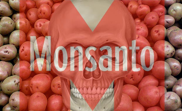 Monsanto GMO Genocide
