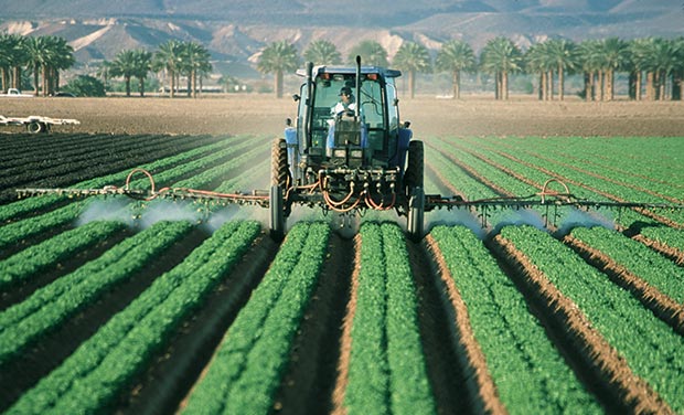 Man Spraying Monsanto's Roundup Herbicide (Glyphosate)