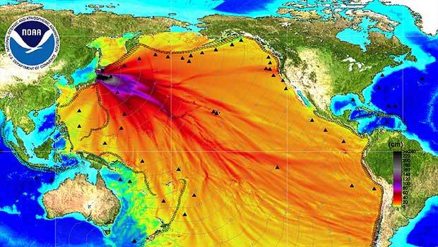 Fukushima Radiation Map