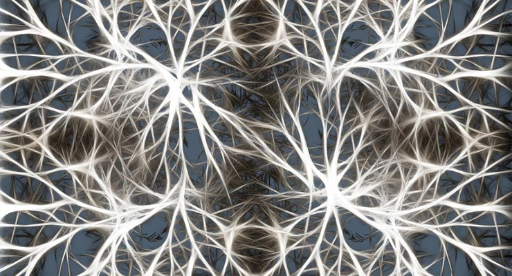 Neural Network