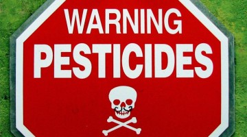 Syngenta Pesticides