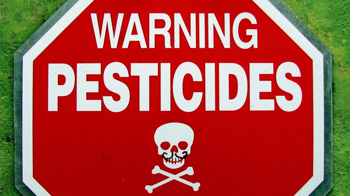 Syngenta Pesticides