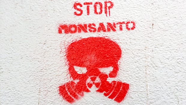 Monsanto