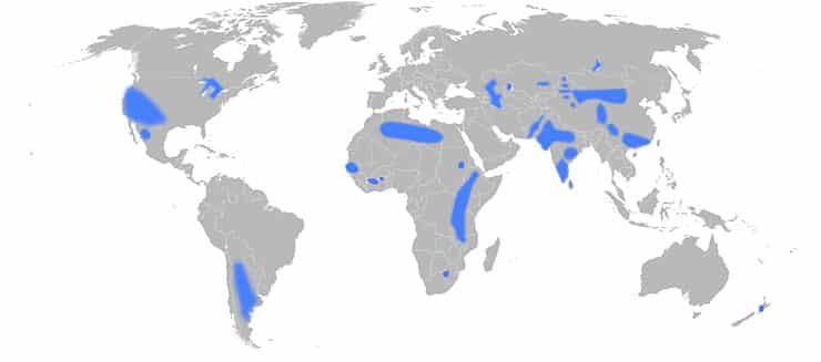 Fluoride Geographical Areas