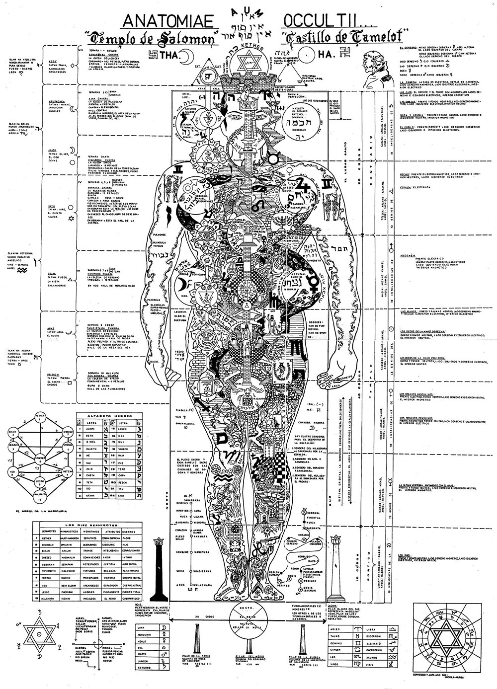 Anatomy Of The Spirit Chart