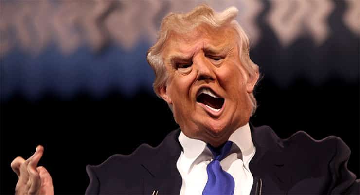 Donald Trump Rally on Acid