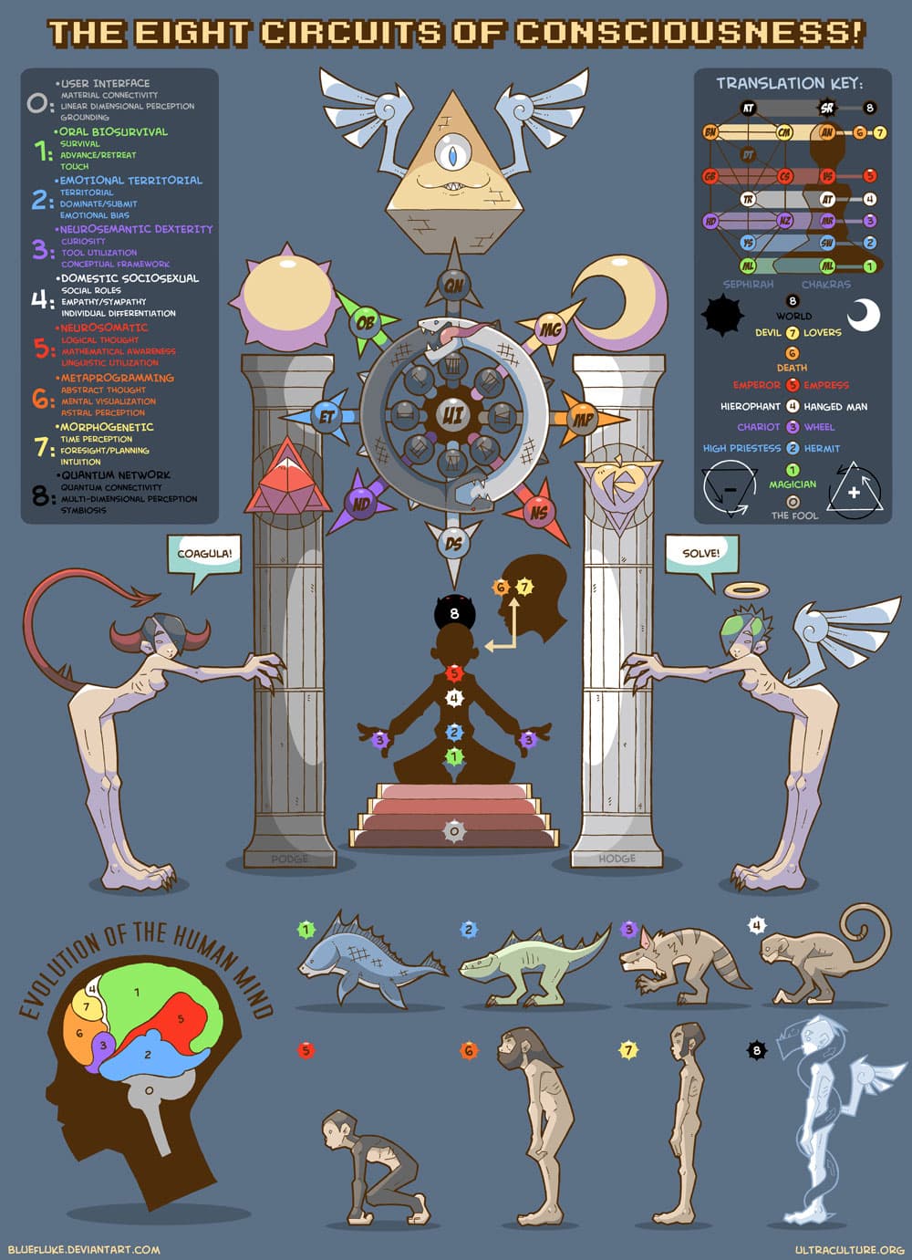 Levels of Consciousness